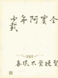 少年阿宾全集下载