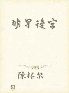 明星后宫