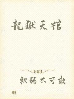 龙狱天棺