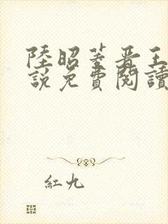 陆昭菱晋王的小说免费阅读