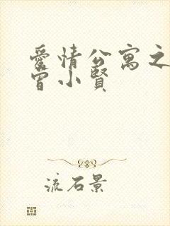爱情公寓之极品曾小贤