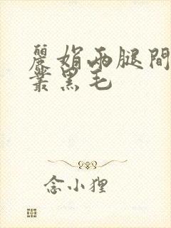 丽娟两腿间一大丛黑毛封面