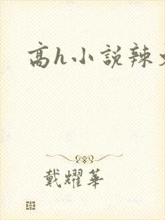 高h小说辣文封面