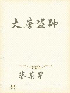 大唐盗帅