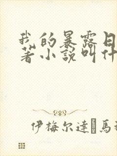 我的暴露日记原著小说叫什么