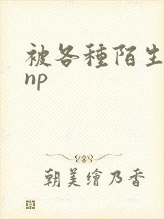 被各种陌生人 np封面