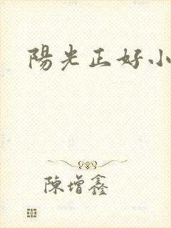 阳光正好小说