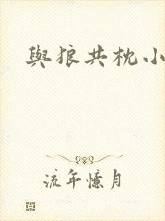 与狼共枕小说封面