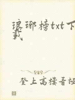 琅琊榜txt下载