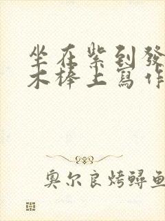 坐在紫到发黑的木棒上写作业