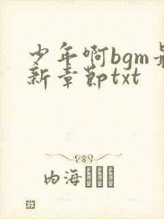 少年啊bgm最新章节txt