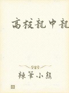 高校龙中龙封面