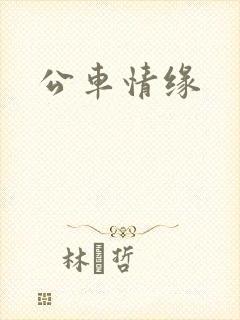 公车情缘