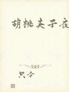 胡桃夹子夜未眠封面