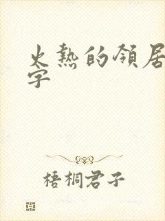 火热的领居中文字
