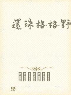 还珠格格野传封面