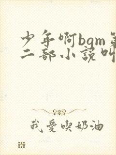 少年啊bgm第二部小说叫什么