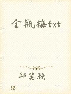 金瓶梅txt封面