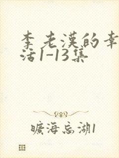 李老汉的幸福生活1-13集