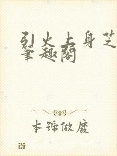 引火上身芝麻糖笔趣阁