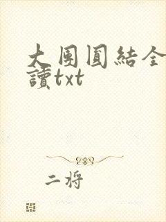 大团圆结全文阅读txt
