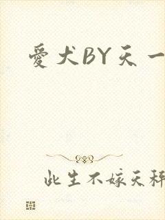 爱犬BY天一