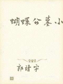 蝴蝶公墓小说