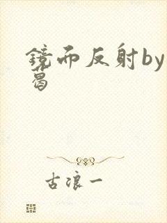镜面反射by九葛