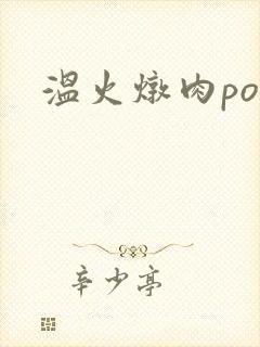 温火炖肉pop