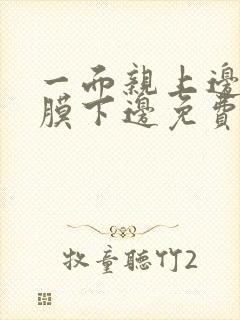 一面亲上边一面膜下边免费阅读