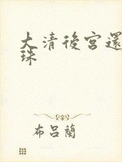 大清后宫还君明珠封面