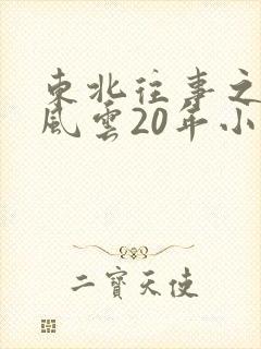 东北往事之黑道风云20年小说