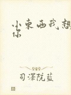 小东西我想弄坏你