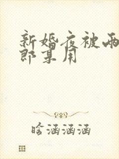 新婚夜被两个伴郎享用封面