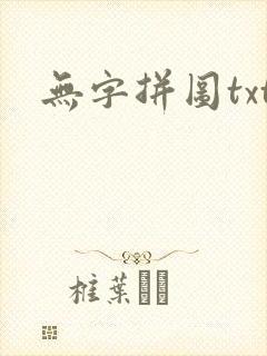无字拼图txt