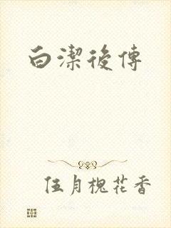 白洁后传封面