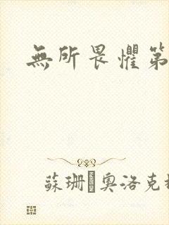 无所畏惧第二部封面
