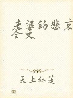老婆的悲哀小说全文