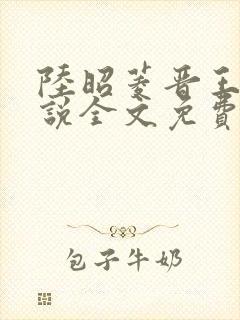陆昭菱晋王的小说全文免费阅读封面