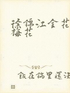 徐锦江金花瓶楷梅花封面