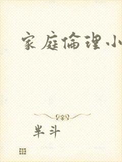 家庭伦理小说