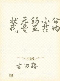 状元的小公主(我爱五花肉)