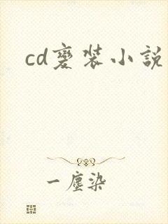 cd变装小说
