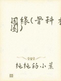 因缘(骨科 校园)