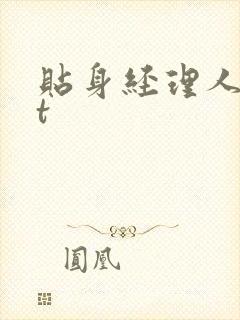 贴身经理人txt封面