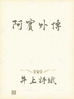 阿宾外传封面