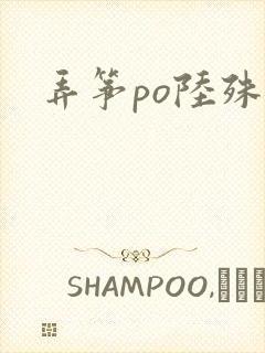 弄筝po陆殊词