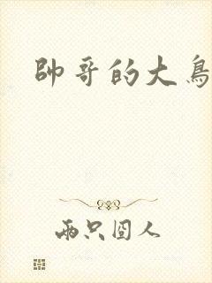 帅哥的大鸟