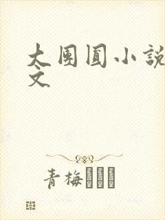大团圆小说集全文