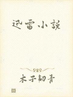 迅雷小说